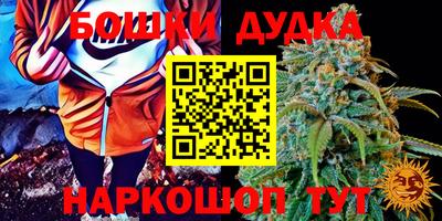 PSILOCYBIN Рязань