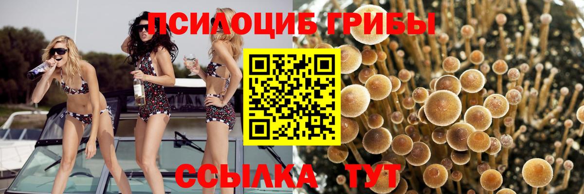 Псилоцибиновые грибы ЛСД Октябрьский