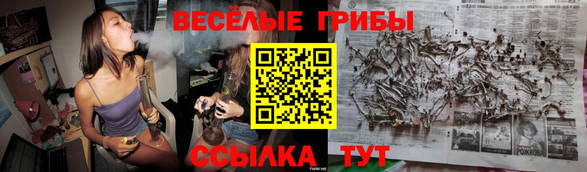 Октябрьский  Псилоцибиновые грибы мухоморы  Вход с VPN 